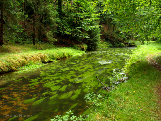 Kirnitzsch oberhalb der Rabensteine