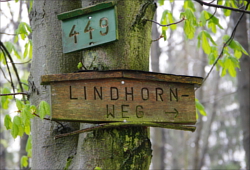 Wegweiser am Lindhornweg