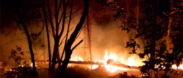 Waldbrand im Affensteingebiet