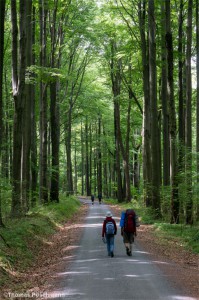 Wanderer im Nationalpark