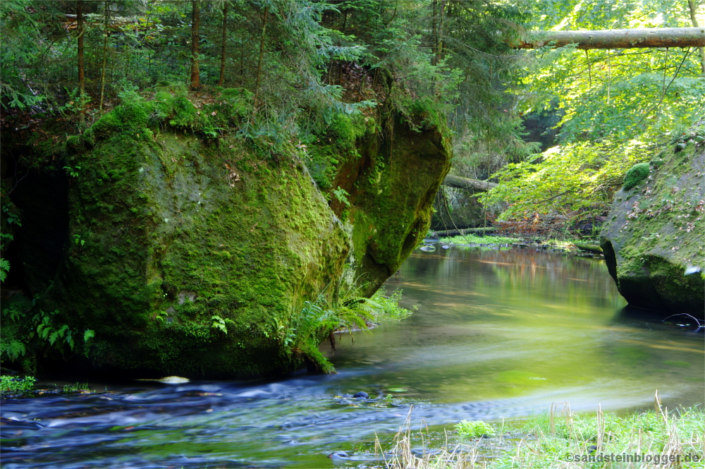 Herbststimmung in der Kirnitzschklamm