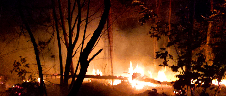 Waldbrand in den Affensteinen