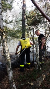 Feuerwehrleute im Einsatz