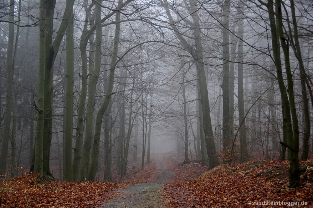 Nebel am Rosssteig