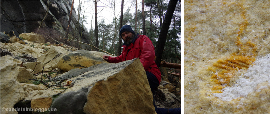 Nach dem Felssturz am Rauenstein kann man dort jetzt Muscheln suchen.