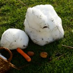 Geschmolzener Schneemann