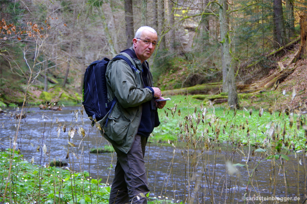 Holm Riebe am Ufer der Polenz