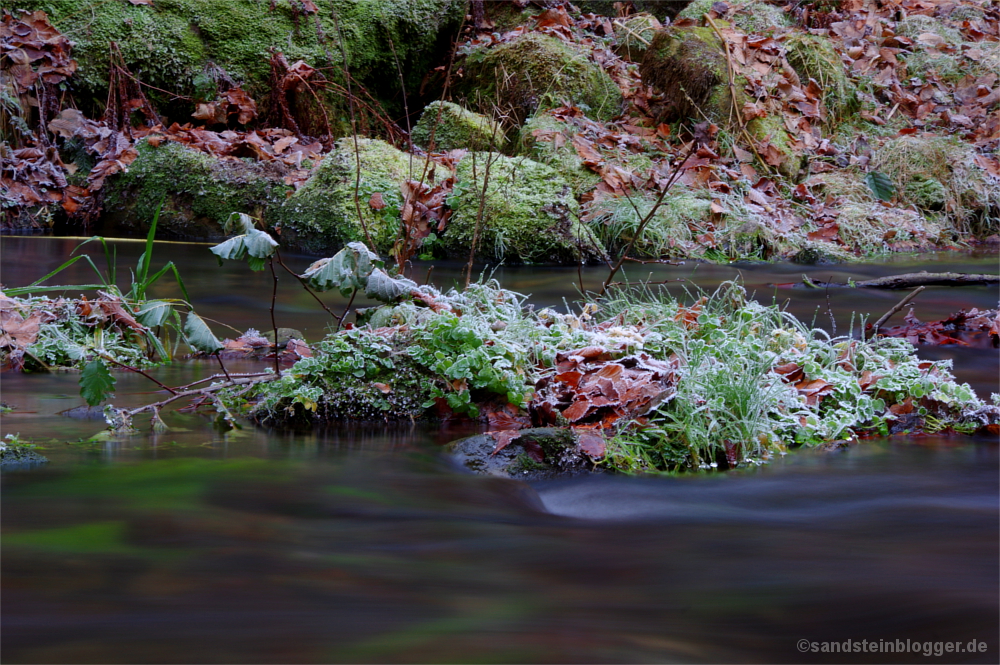 Kleine Insel im Bach