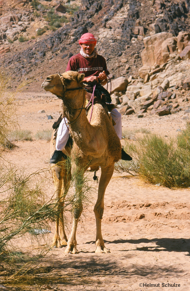 Mann in der Wüste auf Kamel, Bernd Arnold im Wadi Rum