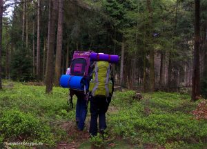 Zwei Wanderer im Wald