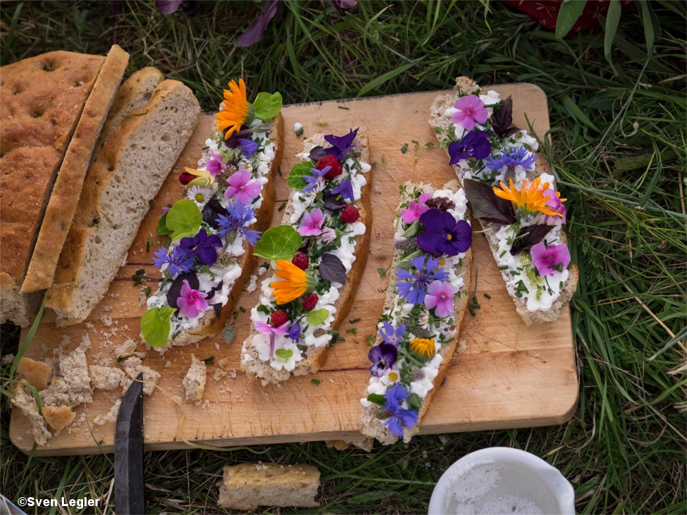 Brotscheiben mit Frischkäse und verschiedenen Sommerblüten