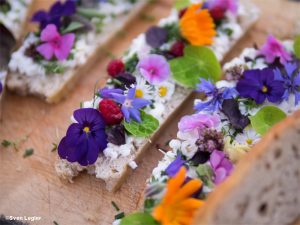 Brot mit Frischkäse und Blüten