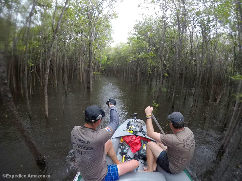 Männer paddeln durch überfluteten Tropenwald