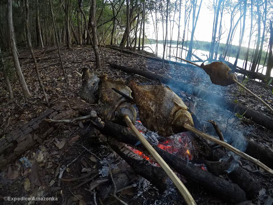 Fische überm Feuer