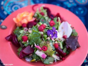 Wiesenblütensalad mit Himbeeren und Roter Beete