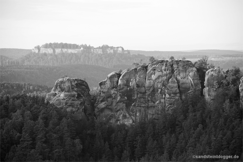 Felsen, Wälder