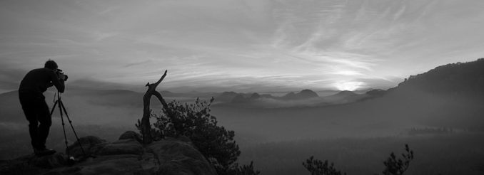 Fotograf, Kiefer, Nebel, weite Landschaft