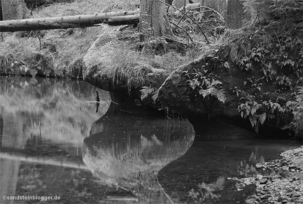 Bach, Ufer spiegelt sich im Wasser