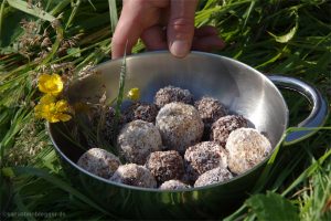 Schokobällchen mit Kokosraspel