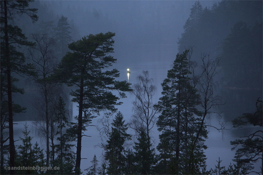 Licht auf dem See, zwischen den Bäumen in der Ferne treibt ein Boot