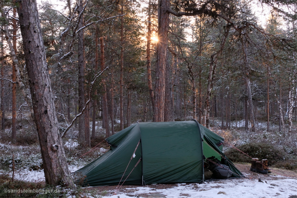 Zelt im Wald, aufgehende Sonne