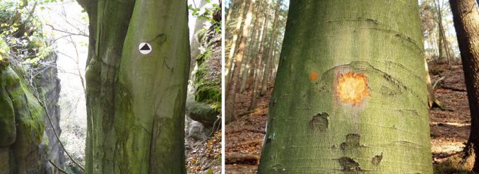 Eine Buche mit einem schwarzen Dreieck auf weißem Grund. Und eine andere, wo ein ähnliches Zeichen unkenntlich gemacht wurde.