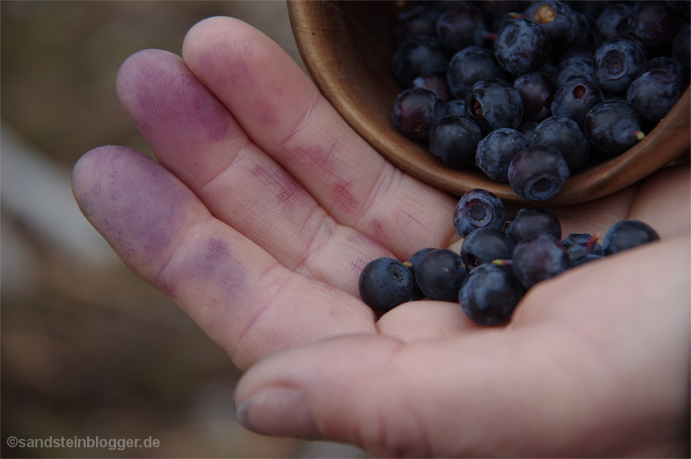 Tasse mit Heidelbeeren