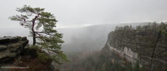 Einsame Kiefer auf einem Felsriff, dahinter Nebel und Regenwolken