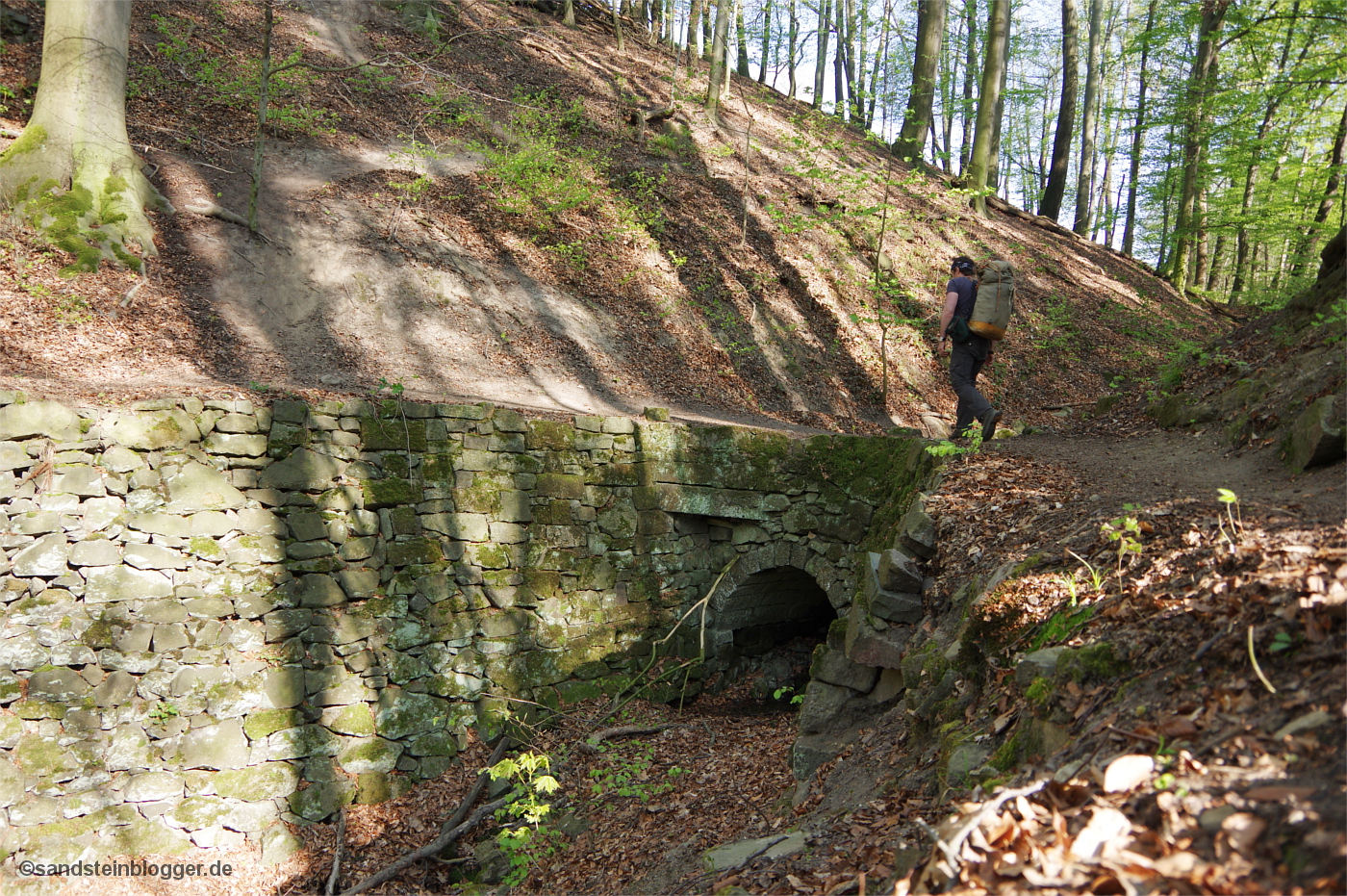 Alter Buchenwald, ein mit Stützmauern befestigter Weg windet sich am Hang entlang