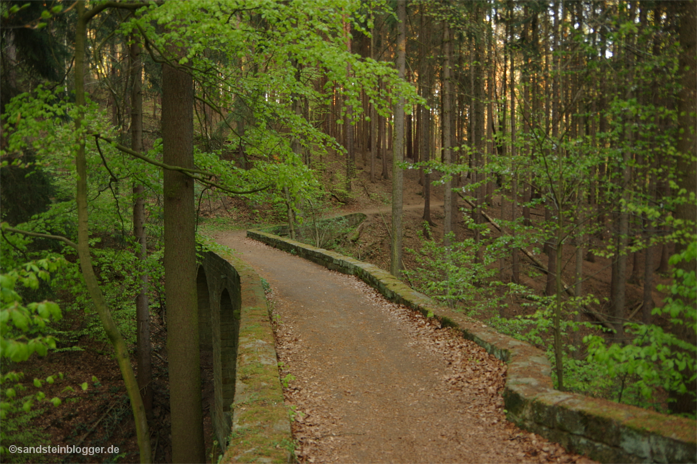 Alte Brücke im Wald