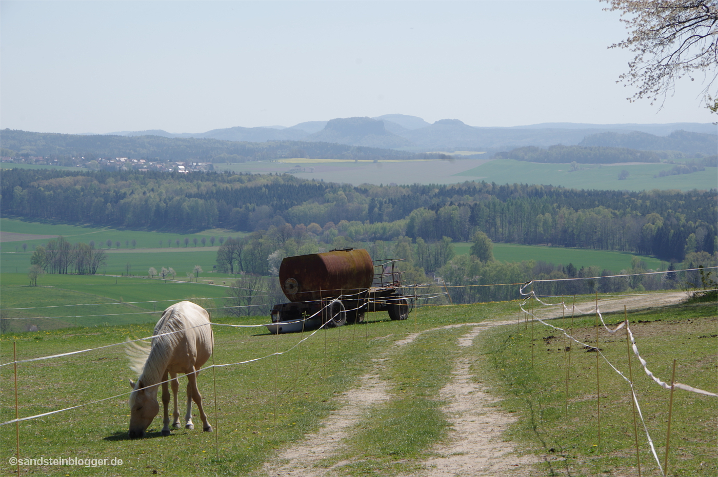 Weite Wiesen, Elektrozäune, im Vordergrund grast ein Pferd