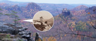 Kiefernbäumchen vor Felslandschaft