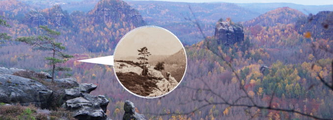 Vergessen von der Zeit Kiefernbäumchen vor Felslandschaft