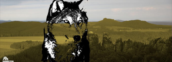 wolf_titelbild_sandsteinblogger