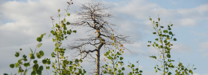 sandloch_2©sandsteinblogger