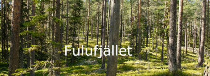 title_fulufjaellet©sandsteinblogger