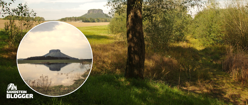 Blickwechsel am Hörnelteich
